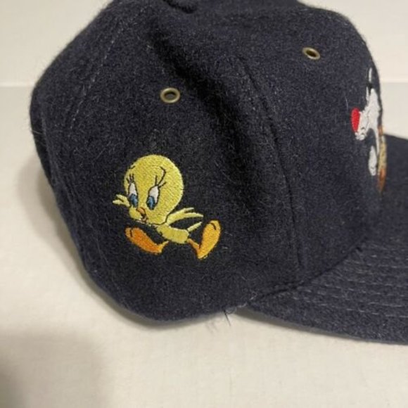 Acme Clothing Looney Tunes Warner Brothers Vintage Wool 1991 Snapback Hat - Picture 2 of 8